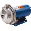 Goulds NPE Pump